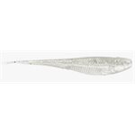 RAPALA Crush City Crush City The Jerk 3.75 Pearl White