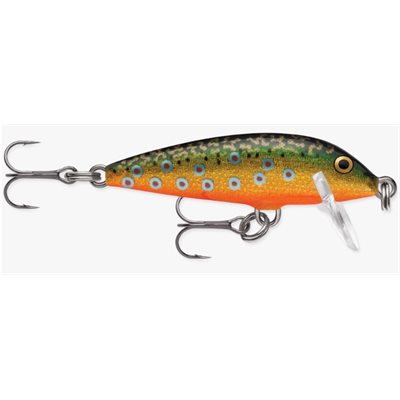 RAPALA Countdown 05 Brook Trout