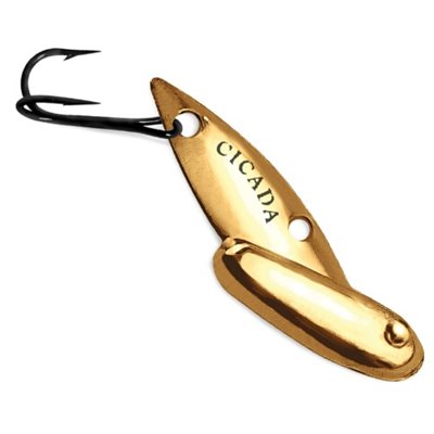 REEF RUNNER Tungsten Cicada 3 / 32 oz - Gold